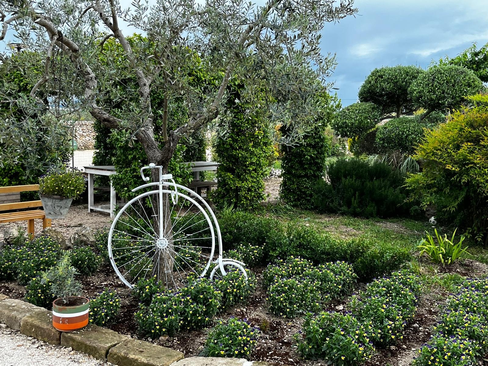 Giardino del Podere 253 con bicicletta decorativa e ulivi